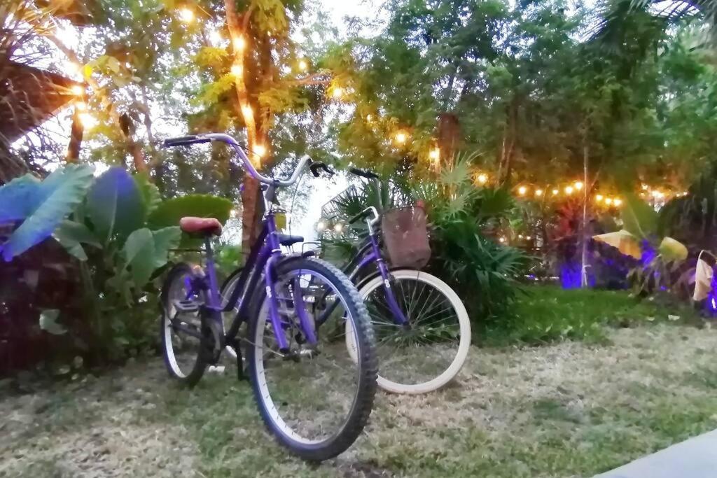 Dk31 Wifi 600Mb, Cheap Scooters By Moikkarentals ตูลุม ภายนอก รูปภาพ